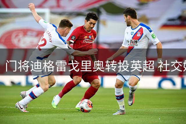 门将迪格雷戈里奥转投英超 社交媒体删除尤文印记